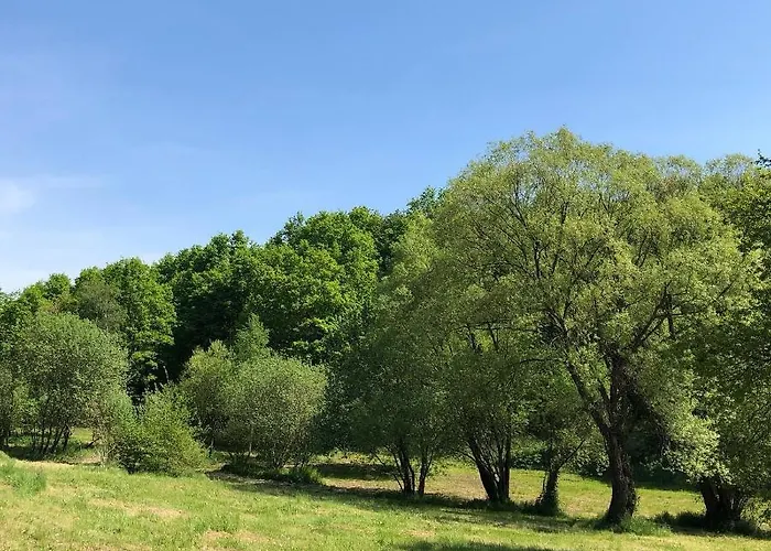 Vamis Gornji Petrovci