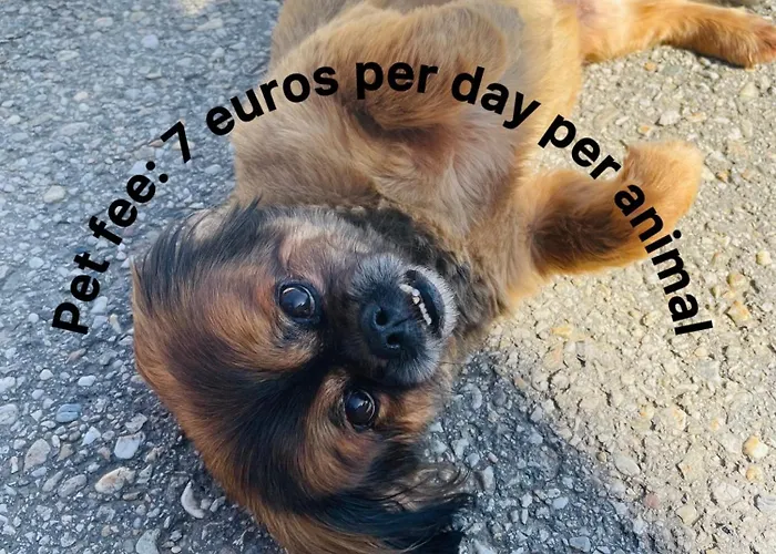 Vamis Gornji Petrovci